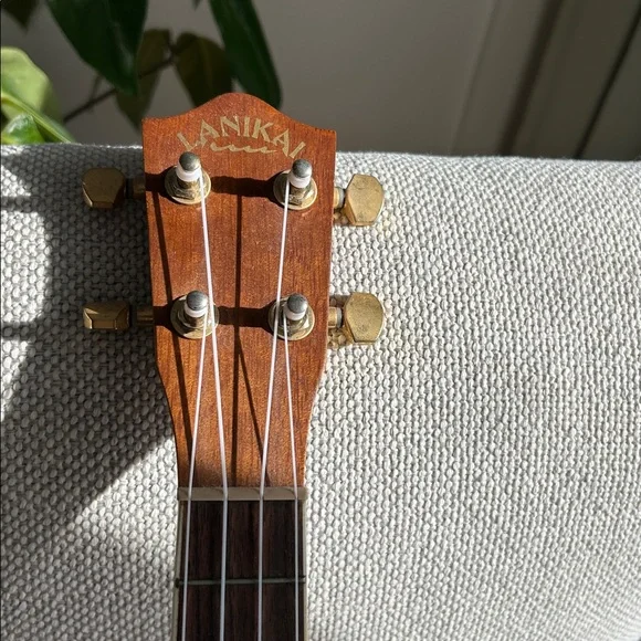 Lanikai LU22CGC Standard Concert Ukulele - Picture 9 of 10